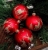 59ed67f6bdde45d9abac13b1082fb72f.jpg