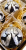 IMG_20251030_100043_800.png