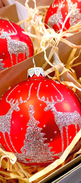IMG_20251030_101036_253 (2).png