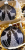 IMG_20251030_100814_887.png